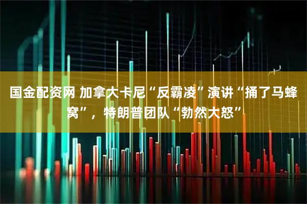 国金配资网 加拿大卡尼“反霸凌”演讲“捅了马蜂窝”，特朗普团队“勃然大怒”